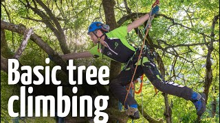 Simple amp safe tree climbing ascent technique [upl. by Rania204]