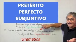 Pretérito perfecto de subjuntivo [upl. by Ayokal679]