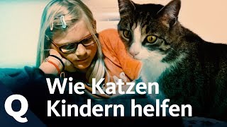 Katzen helfen traumatisierten Kindern  Quarks [upl. by Noma741]