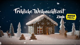 HOFER Weihnachtssong 2020 [upl. by Hareehat]