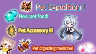 Elsword News  New pet system quotPet Expeditionquot  Korean update [upl. by Auos]