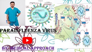 Parainfluenza Virus  Virology  Microbiology [upl. by Bonita809]