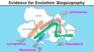 The Evolution of Populations Natural Selection Genetic Drift and Gene Flow [upl. by Emirac]