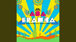 Asa Branca Dj Danilo Bachega Remix [upl. by Cohn701]