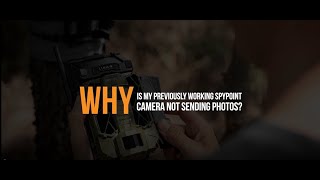 Why is my Previously Working SPYPOINT Camera Not Sending Photos  SPYPOINT [upl. by Bliss568]