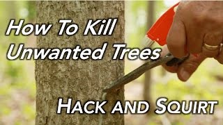 How To Kill a Tree  Hack and Squirt [upl. by Enitsyrhc]