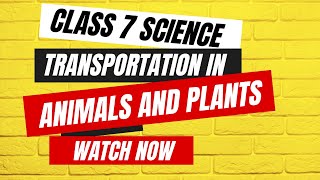 Get Ahead in Class 7 Science with These AMAZING Transportation concepts [upl. by Wasson]