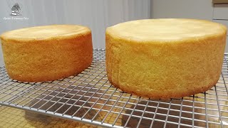 Sponge Cake  FLAT LAYERS  Recipe amp Method [upl. by Fleck942]