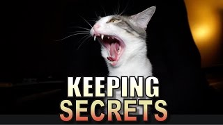 Talking Kitty Cat 53  Keeping Secrets [upl. by Lammond629]