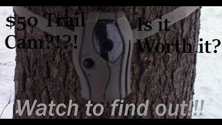 WGI Switch Lightsout Trail Camera Review [upl. by Nesbitt]