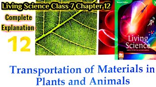 Transportation of Materials In Plants and Animals  Chapter 12 Living Science Class 7  Ratna Sagar [upl. by Wernick]