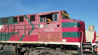 La cucaracha Horn Show FXE 4635 BNSF 8181 con el 2DPNTO [upl. by Arnuad]