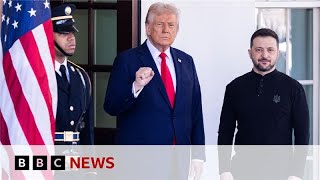 European leaders back Zelensky after Trump clash  BBC News [upl. by Odraboel831]