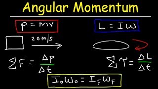 Angular Momentum  Basic Introduction Torque Inertia Conservation of Angular Momentum [upl. by Fortunato]