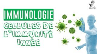 Immunologie  les Cellules de lImmunité Innée [upl. by Adnoval]