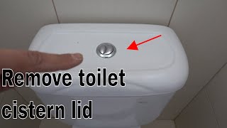 How to remove toilet cistern lid  Dual flush buttons [upl. by Epifano727]