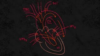 La Disautonomía con Julián Aristizábal Médico Internista Cardiólogo y Electrofisiólogo [upl. by Kaliope]