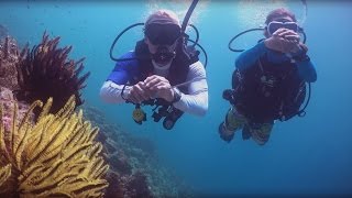 PADI Divemaster Course [upl. by Ynaiffit802]