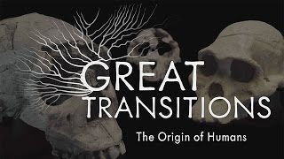 Great Transitions The Origin of Humans — HHMI BioInteractive Video [upl. by Nwahshar]