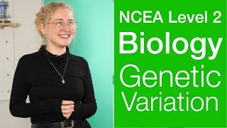 Genetic Variation and Change  NCEA Level 2 Biology  StudyTime NZ [upl. by Laveen]