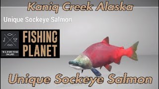 Unique Sockeye Salmon  Kaniq Creek Alaska  Fishing Planet Guide [upl. by Otrevlig]