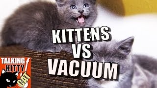 Talking Kitty Cat 49  Kittens vs Vacuum [upl. by Sorenson]