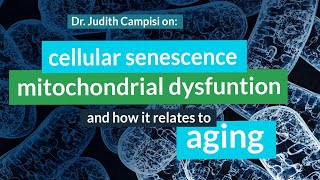 Judith Campisi PhD on Cellular Senescence Mitochondrial Dysfunction Cancer amp Aging [upl. by Aehs]