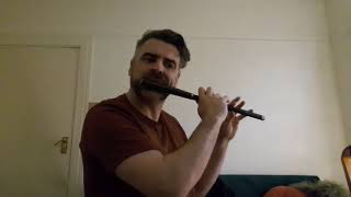 Irish Traditional Flute Music [upl. by Eirhtug397]