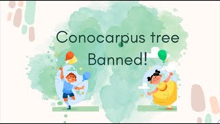 ConocarpusDamasCharcoalDubai tree banned [upl. by Lasonde]