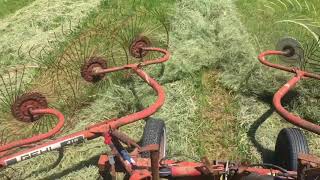 Raking Hay Using Gehl Wheel Rake [upl. by Delora]