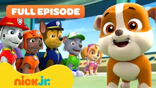 Rubble Joins the PAW Patrol and the Pups Save a Walrus  FULL EPISODES  Nick Jr [upl. by Ramahs190]