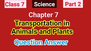 Class 7  Science  Part 2  Transportation in Animals and Plants QuestionandAnswer [upl. by Melamie852]