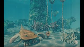 The Secrets of the Ancient Sea  360 degree animation [upl. by Carlisle]