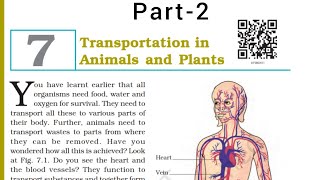 Transportation in Animals and Plants  Class 7  chapter7  NCERT  Part2 [upl. by Keldah]