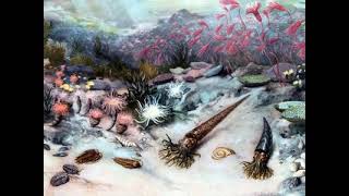 Late Ordovician mass extinction [upl. by Aivonas]