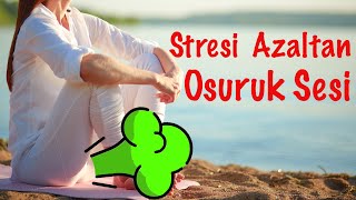 Stresi Azaltan Osuruk Sesi [upl. by Anait504]