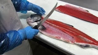 How to Fillet Chinook King Salmon [upl. by Nilatak]