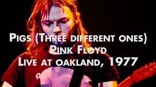 Pink Floyd  Pigs Three Different Ones  Live at Oakland [upl. by Byrann]