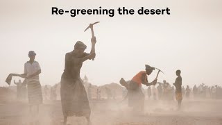 Turning the desert green in Burkina Faso [upl. by Nitsir401]