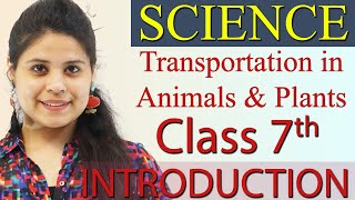 Introduction  Chapter 7  Transportation in Animals and Plants  Science Class 7th NCERT [upl. by Reinke]