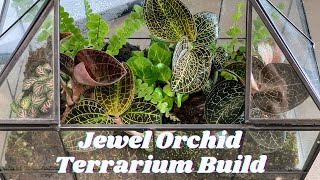 Jewel Orchid Terrarium Build  ft 4 Months Growth Update [upl. by Tezile]