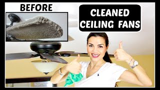 How to Clean Dusty Ceiling Fan  Real Life Mess [upl. by Trillby]