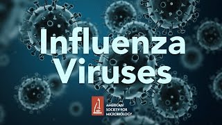 Influenza Viruses by James McSharry PhD [upl. by Doowrehs]