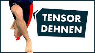 Tensor Fasciae Latae TFL richtig dehnen [upl. by Sibie]