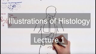 Histology HampE Staining and Epithelia [upl. by Coney]