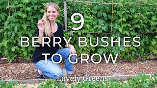 9 Types of Berry Bushes to grow in your Garden [upl. by Felicie]