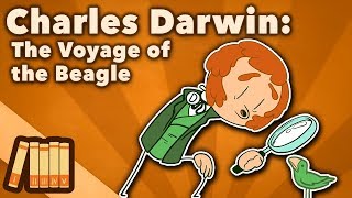 Darwin’s Biggest Problem  Long Story Short Evolution [upl. by Zeralda]