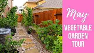 MAY Vegetable Garden Tour  Small Backyard Garden [upl. by Atilehs]