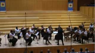 2 of 2  Stefan Temmingh amp Cape Philharmonic premiere H Hofmeyrs recorder concerto [upl. by Amees]