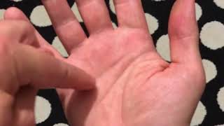 60 Second Palmistry Reading  Palm Reading The Lines Of The Hand [upl. by Blanding435]